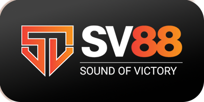 drtime.io - sv88 logo
