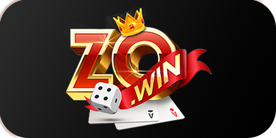 drtime.io - zowin logo